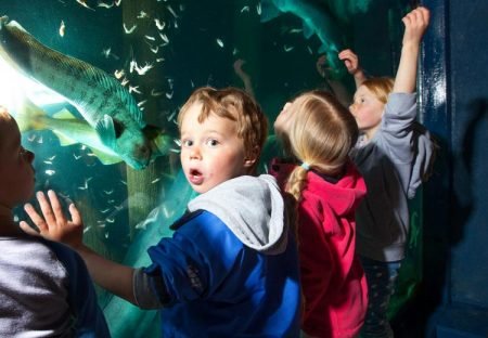 Det er mange spennende ting å oppleve i Risør Akvarium!