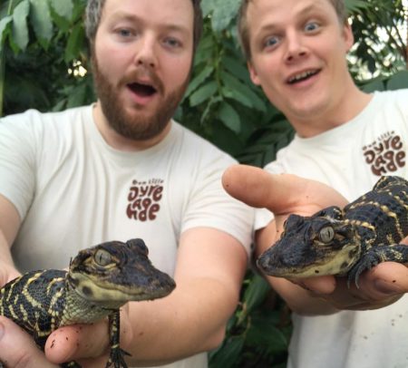 I vinterferien kan du treffe To små "søte" babyalligatorer i Den Lille Dyrehage