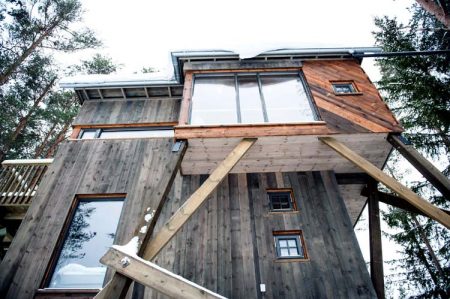 Tretopphytta ved Tangvall er et av stoppestedene på Gjerstad Historielags medlemstur 12. juni. Foto: Facebook