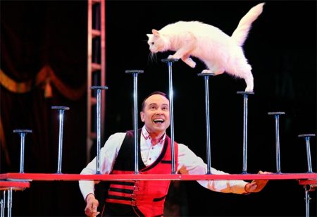 Cirkus Arnardo til Risør