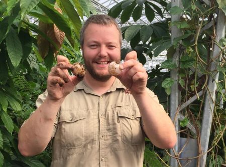 Babyboom i dyrehagen