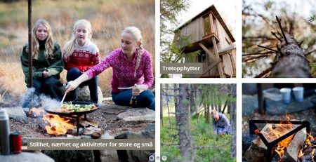 Stem frem tretopphyttene til "Årets landlige spire 2016"