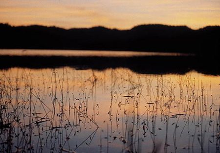 Evjevann. Foto: Oskar T. Brendalsmo