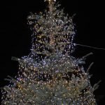 Juletreet utenfor Almuestaua ble tent av sogneprest Hofsli, og vil lyse opp rundt tusenårsstedet frem til jul.