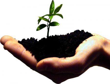 Illustrasjonsbilde: Depositphotos.com