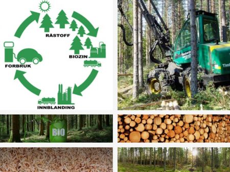 Kommunestyret valgte å utsette saken om investering av 400 000 tomteselskap i Åmli. Illustrasjon: Biozin.no