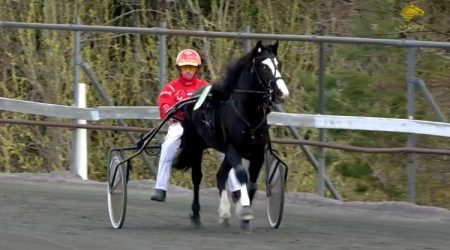 Garli Moe Garlin vant på Sørlandet i kveld. Tom Erik Solberg kusket.