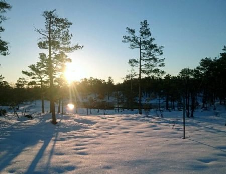 Godt skiføre 1. mai hører til sjeldenhetene, men i dag var dette tilfelle på Drivheia. Foto: Olav Smestad