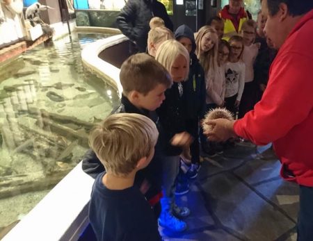 Spente elever fikk vite mer om livet i havet på utsiden av Risør