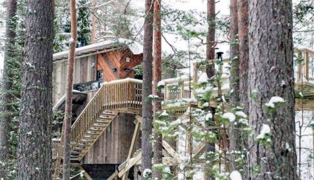 Trehyttene i Gjerstad er tildelt utviklingspris fra Innovasjon Norge