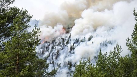 Nå er det ekstra stor brannfare i Agder-skogene