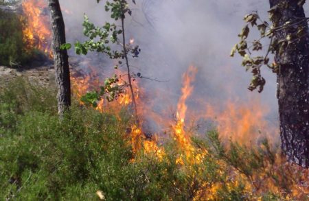 Gjerstad brannvesen rykket ut til skogbrann som viste seg å være i Telemark. Illustrasjonsfoto.