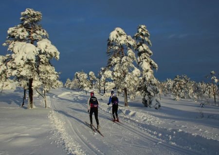 Fra skiløypene over Drivheia. Foto: Ole Jakob Bråten