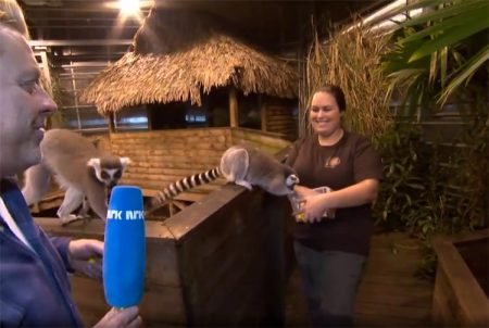 Bente Kristiansen Gjernes imponerte med gode svar og et godt smil i gårsdagens direktesending på NRK.