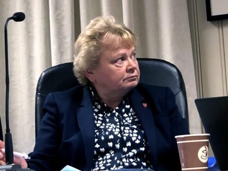 Rådmann Torill Neset orienterte kommunestyret om arbeidet videre med den ferske forvaltningsrapporten innen pleie og omsorgsenheten.