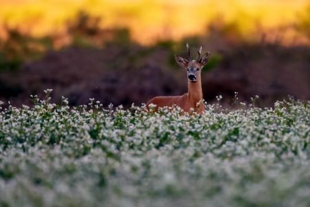 Illustrasjonsbilde: Depositphotos.com