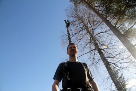 Halvor Aasbø satser på eget trefellingsfirma.