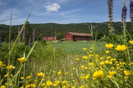 Holmen Gård i Gjerstad. Arkivbilde.