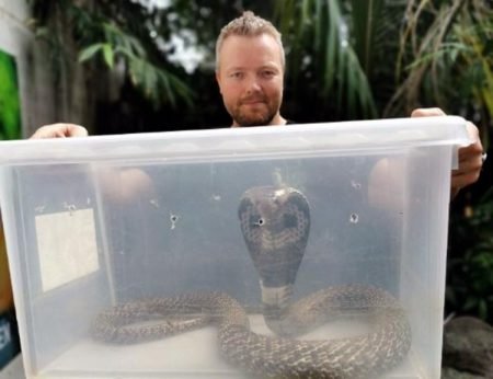 Nils Harald Reiersen med en av slangene som nå har flyttet inn i Den Lille Dyrehage på Brokelandsheia. Foto: Privat.