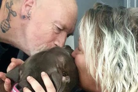 Etter nesten en uke på frifot, valgte Shamila å komme hjem igjen. Foto: Facebook.