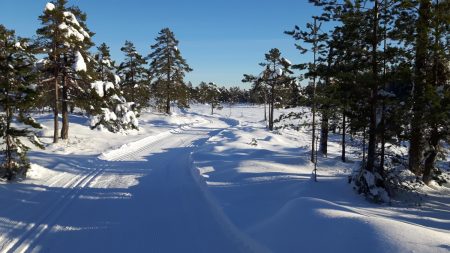 – Hyttebygging, konsekvens og politikk.