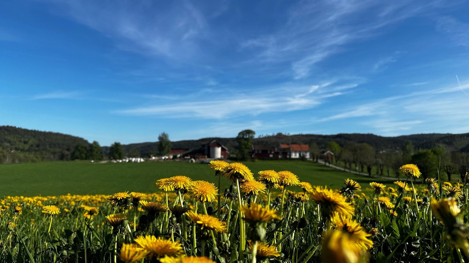 Hvilket gjerstadbilde er årets beste? Du kan bestemme på søndag!