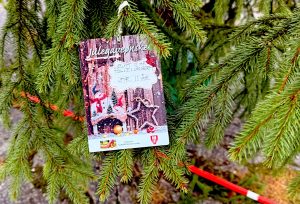 Tre gavelapper igjen ved Almuestaua