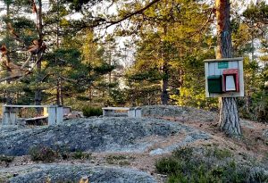 Roger Slåttekjær er årets Regnfjell-konge