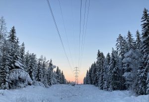 Så mye sparte husholdningene i Gjerstad på Norgespris i januar