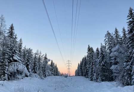 Så mye sparte husholdningene i Gjerstad på Norgespris i januar