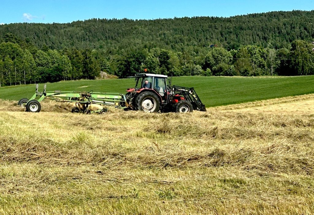 Fra mange små til få og store: Femti år med landbruk i Gjerstad